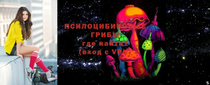 mega ссылка  Нытва  Псилоцибиновые грибы Cubensis 